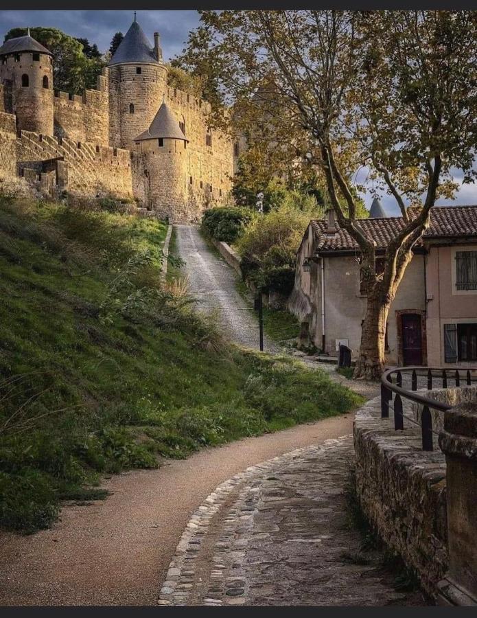 Maison Petite Cote Carcassonne Bagian luar foto